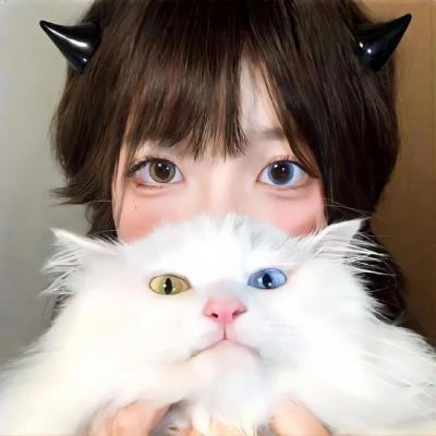你好生活第四季