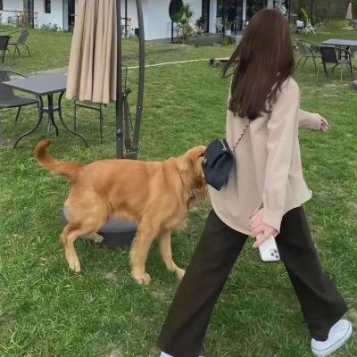 掌门低调点 动态漫第一季